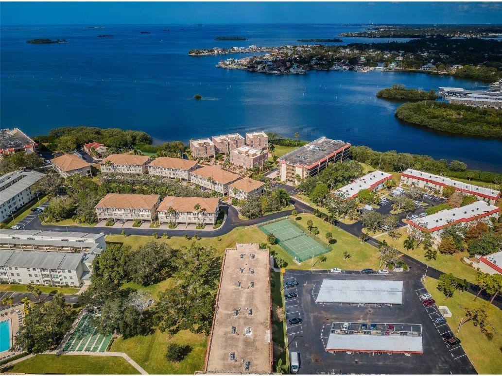 2700 Bayshore Boulevard #4304 Dunedin FL 34698 TB8322582 image2