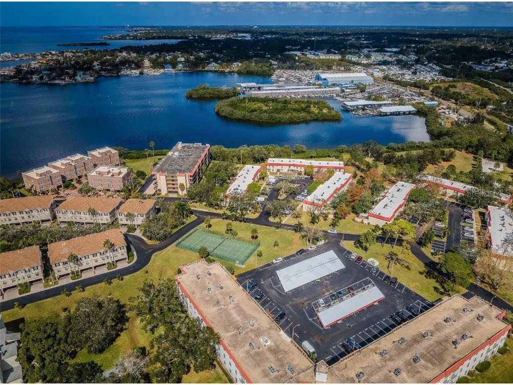 2700 Bayshore Boulevard #4304 Dunedin FL 34698 TB8322582 image22