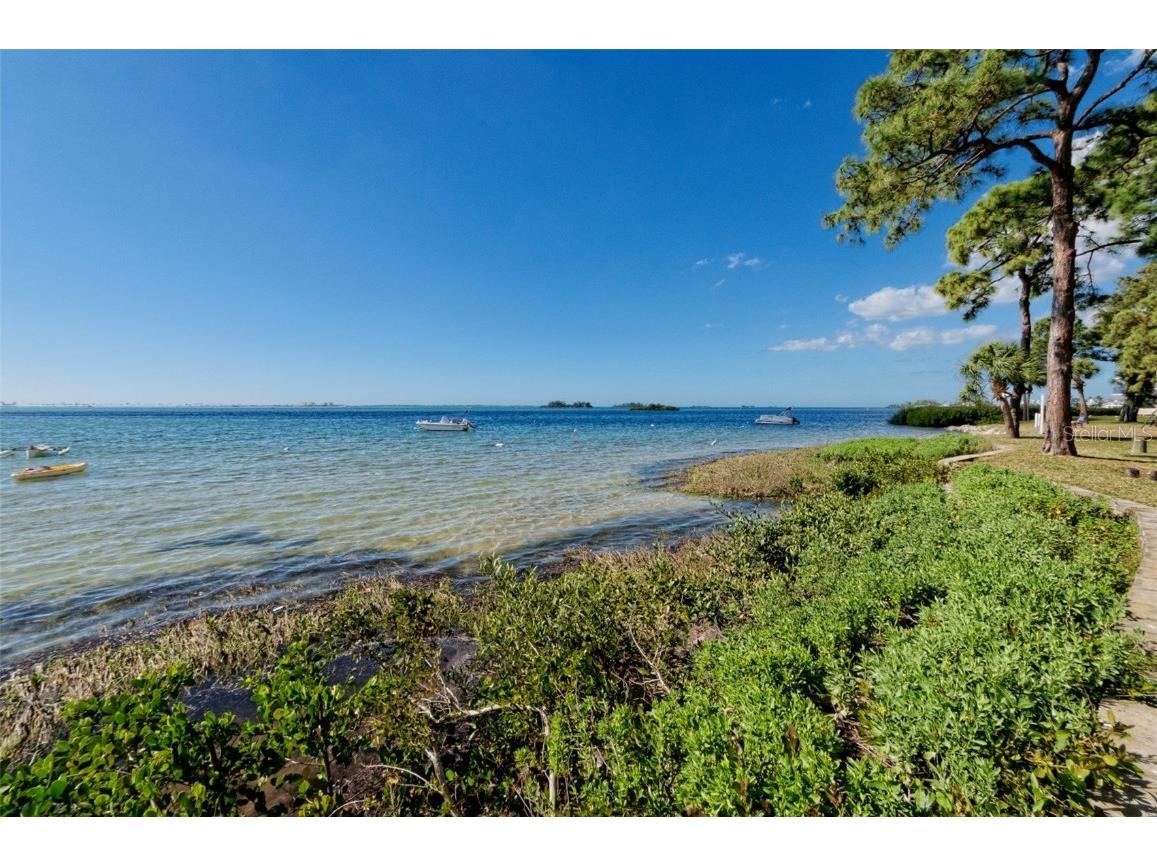 2700 Bayshore Boulevard #4304 Dunedin FL 34698 TB8322582 image46