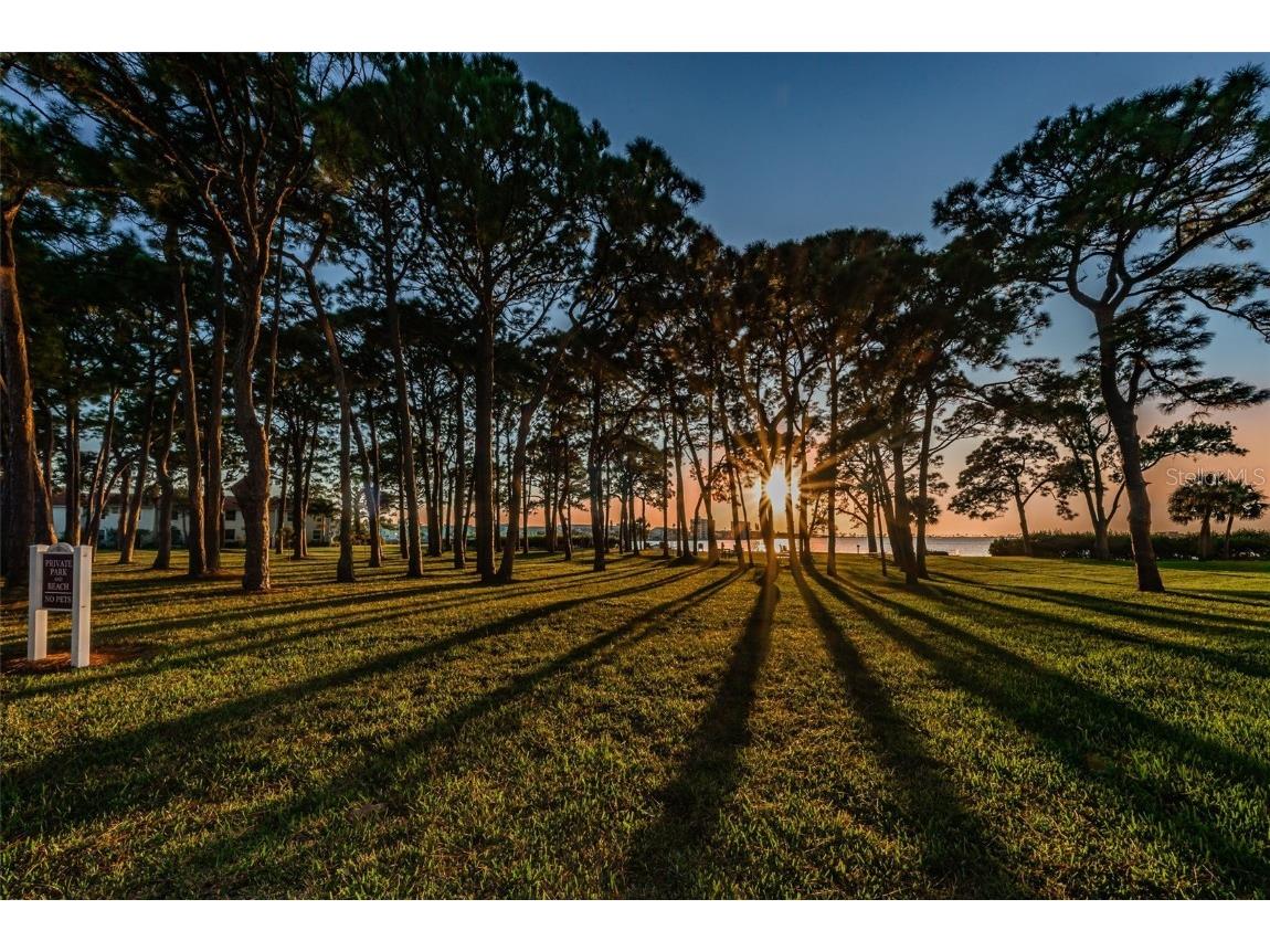 2700 Bayshore Boulevard #4304 Dunedin FL 34698 TB8322582 image48