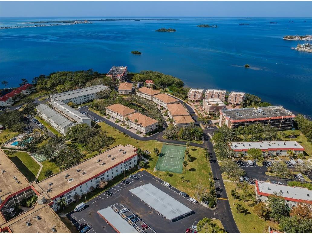 2700 Bayshore Boulevard #4304 Dunedin FL 34698 TB8322582 image5