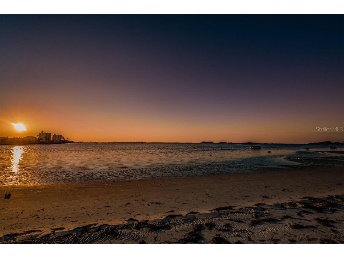 2700 Bayshore Boulevard #4304 Dunedin FL 34698 TB8322582 image51