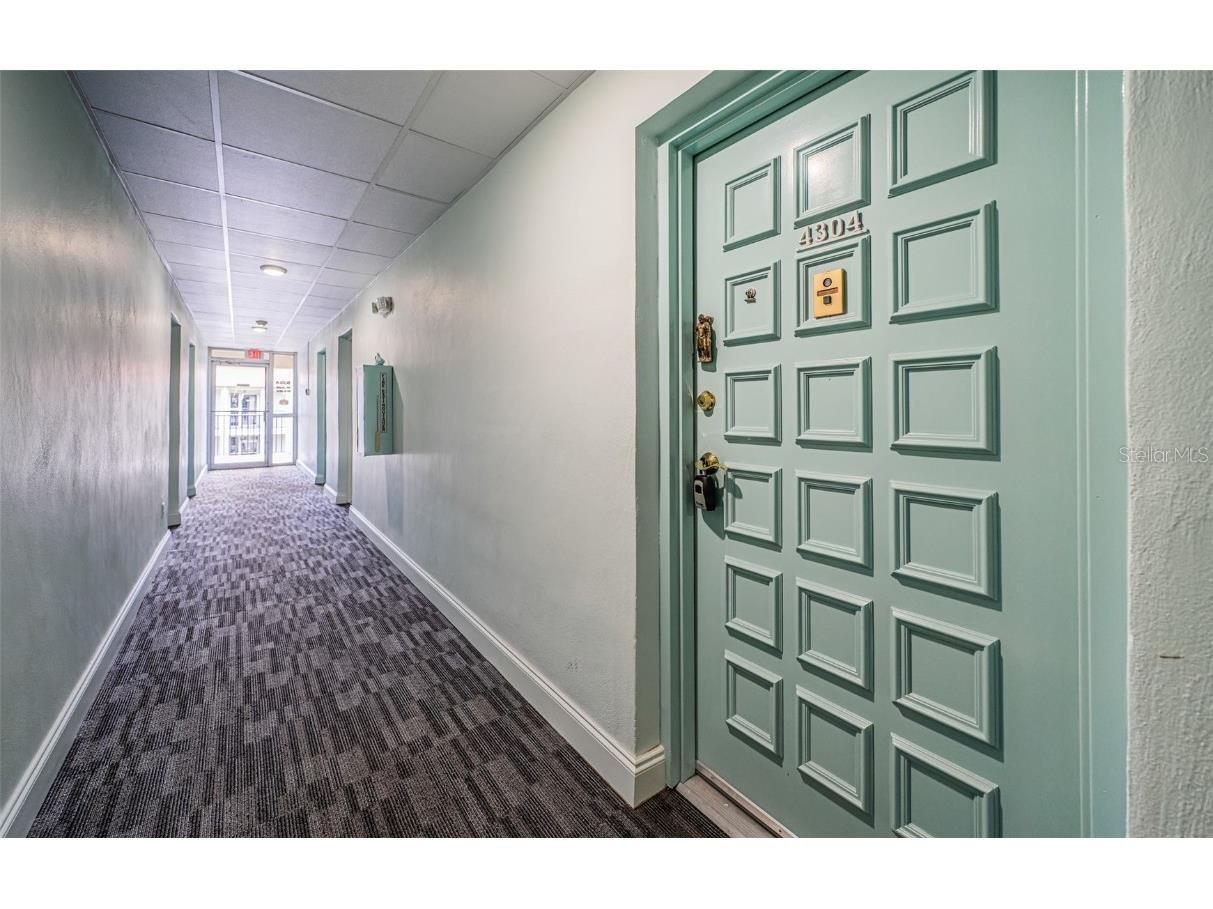 2700 Bayshore Boulevard #4304 Dunedin FL 34698 TB8322582 image6