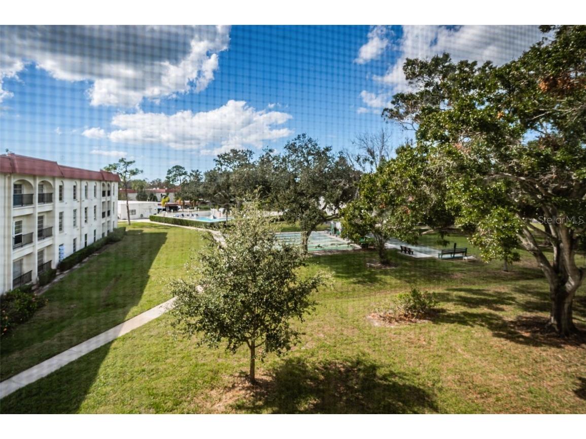 2700 Bayshore Boulevard #4304 Dunedin FL 34698 TB8322582 image9