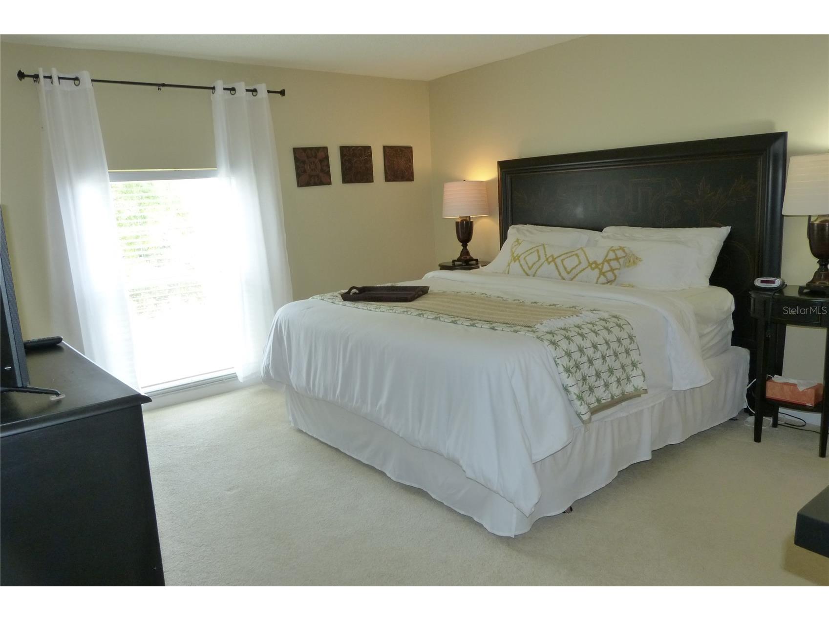 2700 Bayshore Boulevard #4312 Dunedin FL 34698 - ST JOSEPH SOUND/INTRACOASTAL/G TB8507564 image13