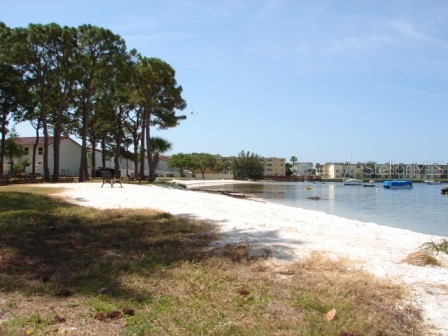 2700 Bayshore Boulevard #4312 Dunedin FL 34698 - ST JOSEPH SOUND/INTRACOASTAL/G TB8507564 image19