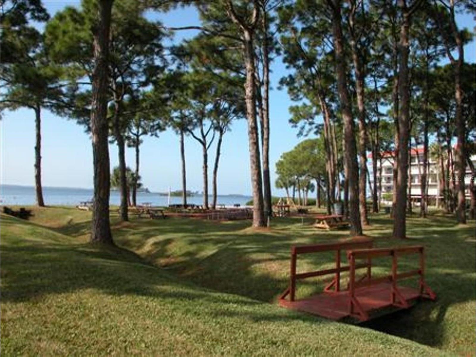 2700 Bayshore Boulevard #4312 Dunedin FL 34698 - ST JOSEPH SOUND/INTRACOASTAL/G TB8507564 image21