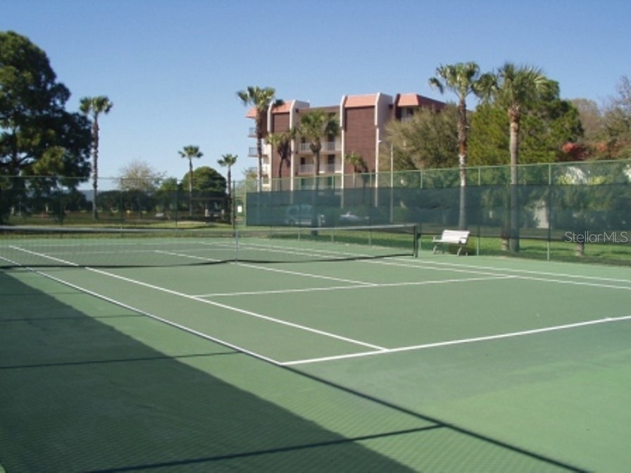2700 Bayshore Boulevard #4312 Dunedin FL 34698 - ST JOSEPH SOUND/INTRACOASTAL/G TB8507564 image22