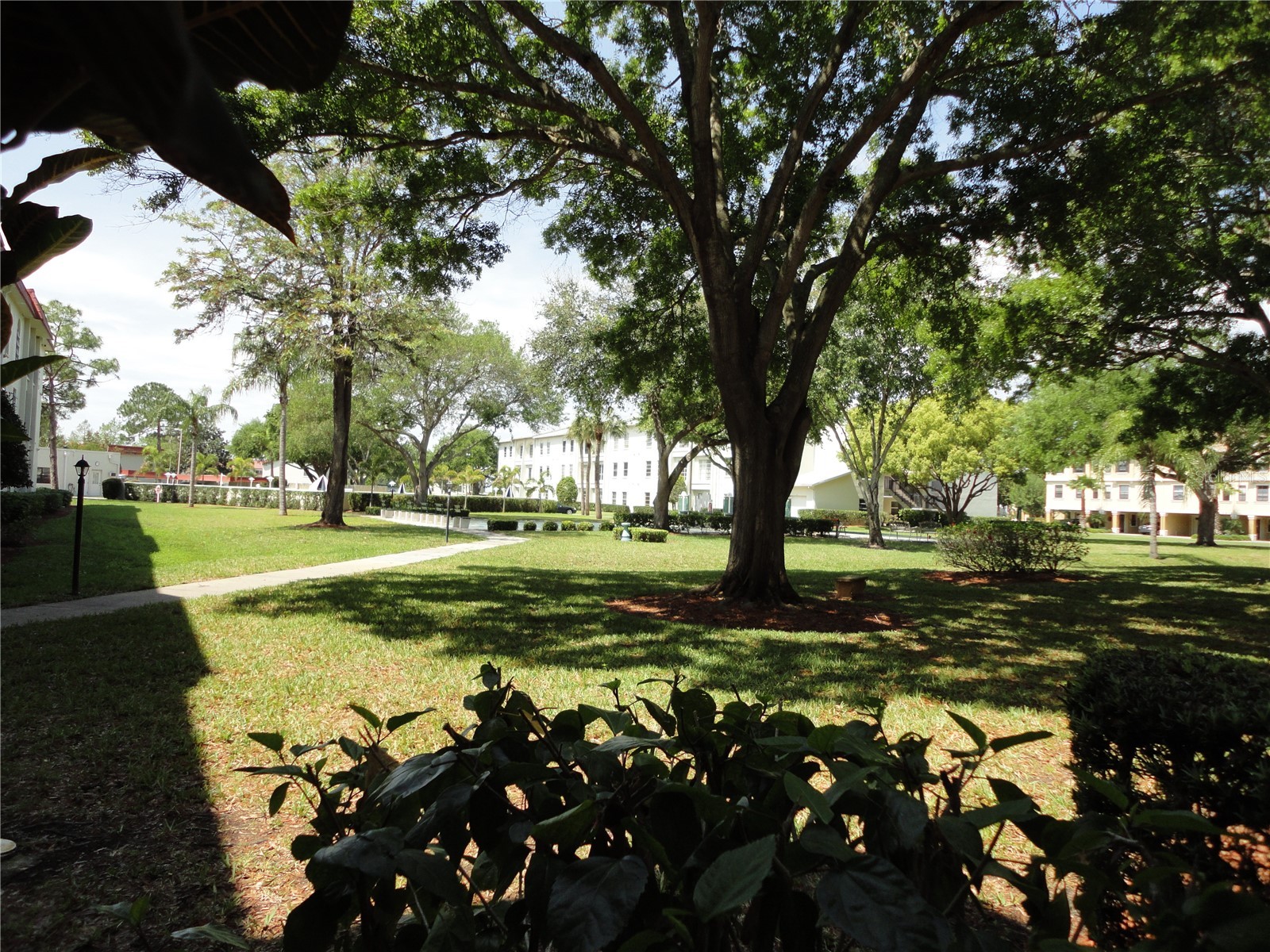2700 Bayshore Boulevard #4312 Dunedin FL 34698 - ST JOSEPH SOUND/INTRACOASTAL/G TB8507564 image23