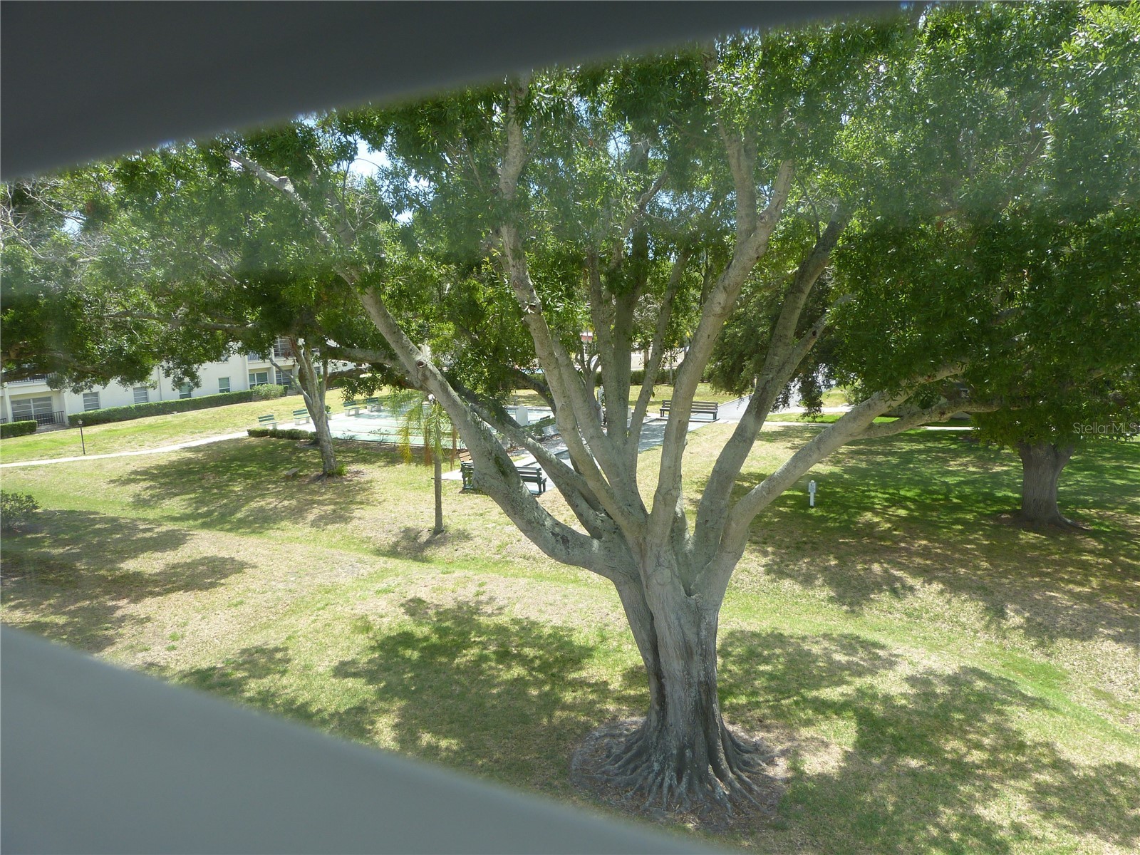 2700 Bayshore Boulevard #4312 Dunedin FL 34698 - ST JOSEPH SOUND/INTRACOASTAL/G TB8507564 image41