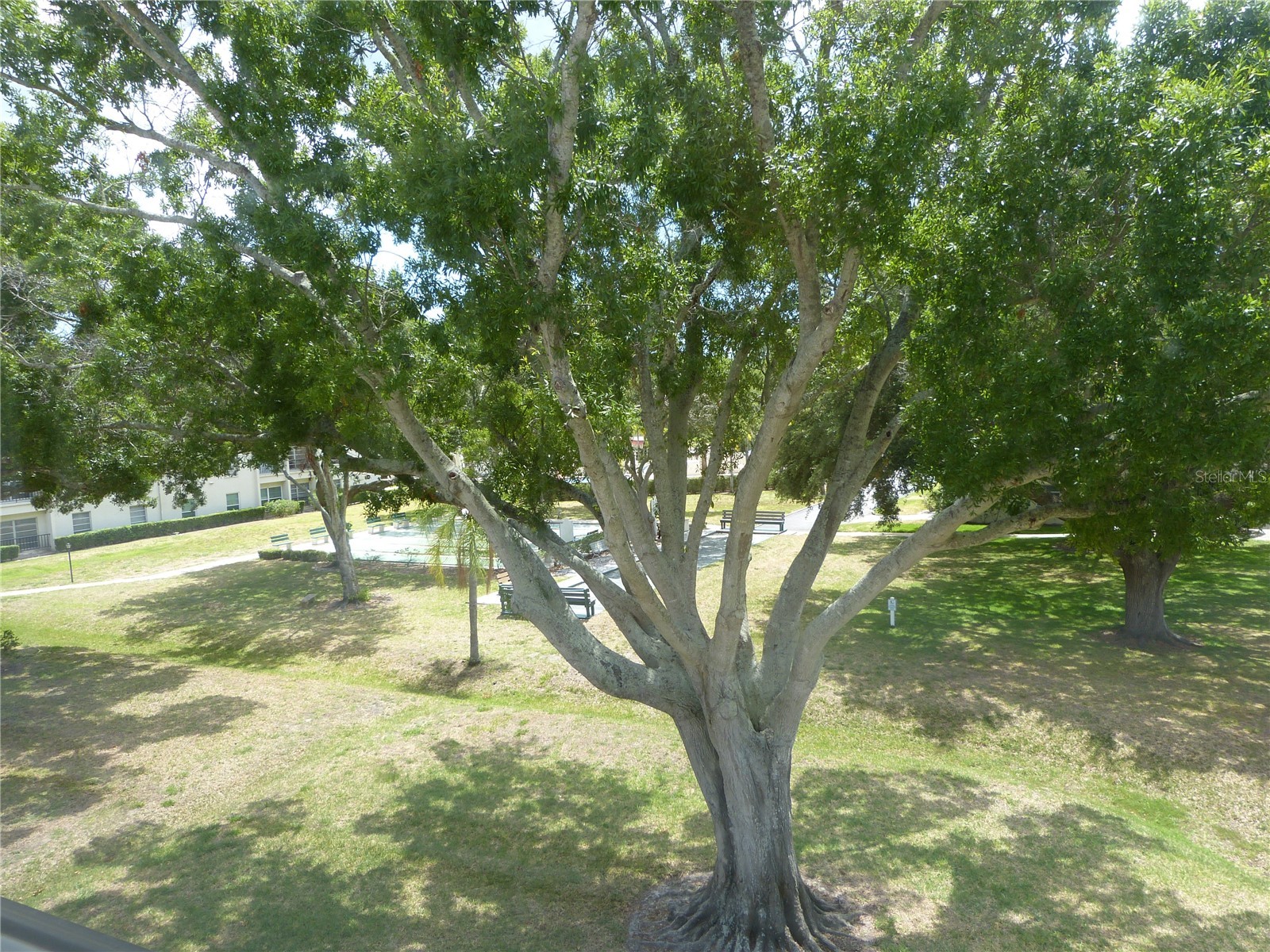 2700 Bayshore Boulevard #4312 Dunedin FL 34698 - ST JOSEPH SOUND/INTRACOASTAL/G TB8507564 image42