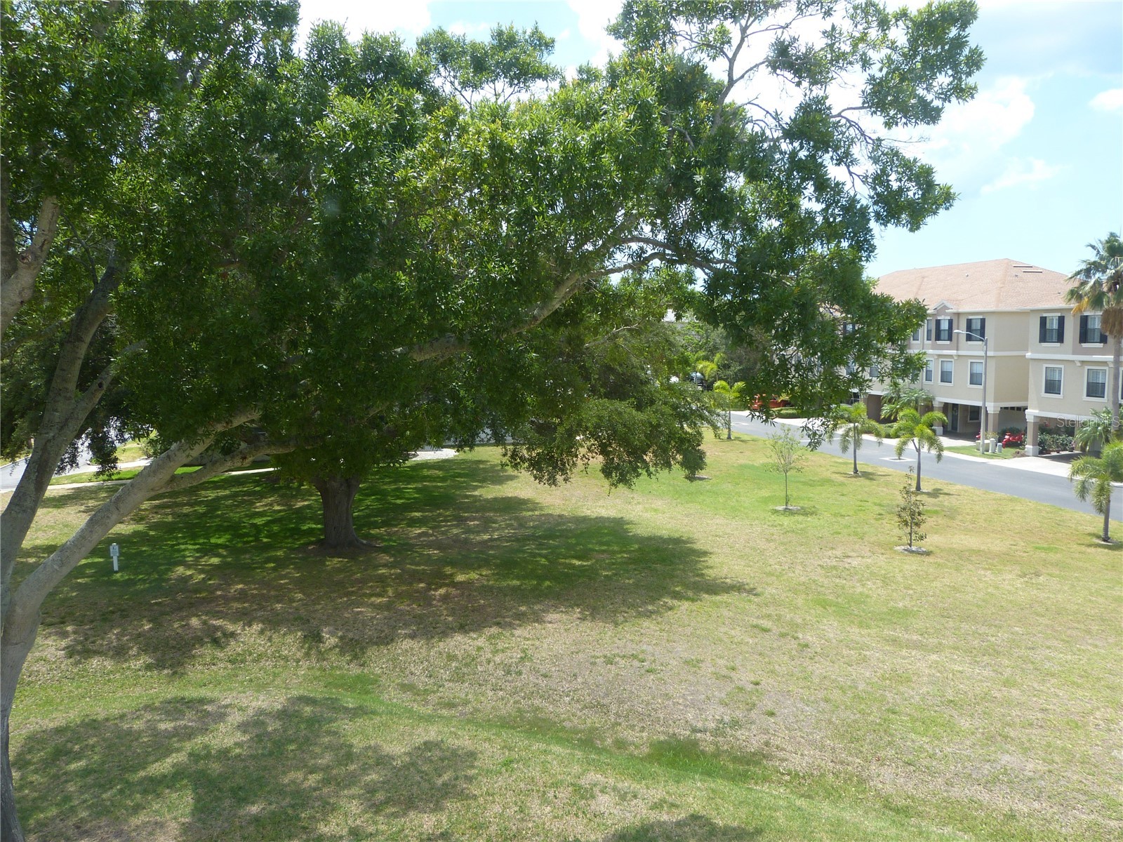 2700 Bayshore Boulevard #4312 Dunedin FL 34698 - ST JOSEPH SOUND/INTRACOASTAL/G TB8507564 image43