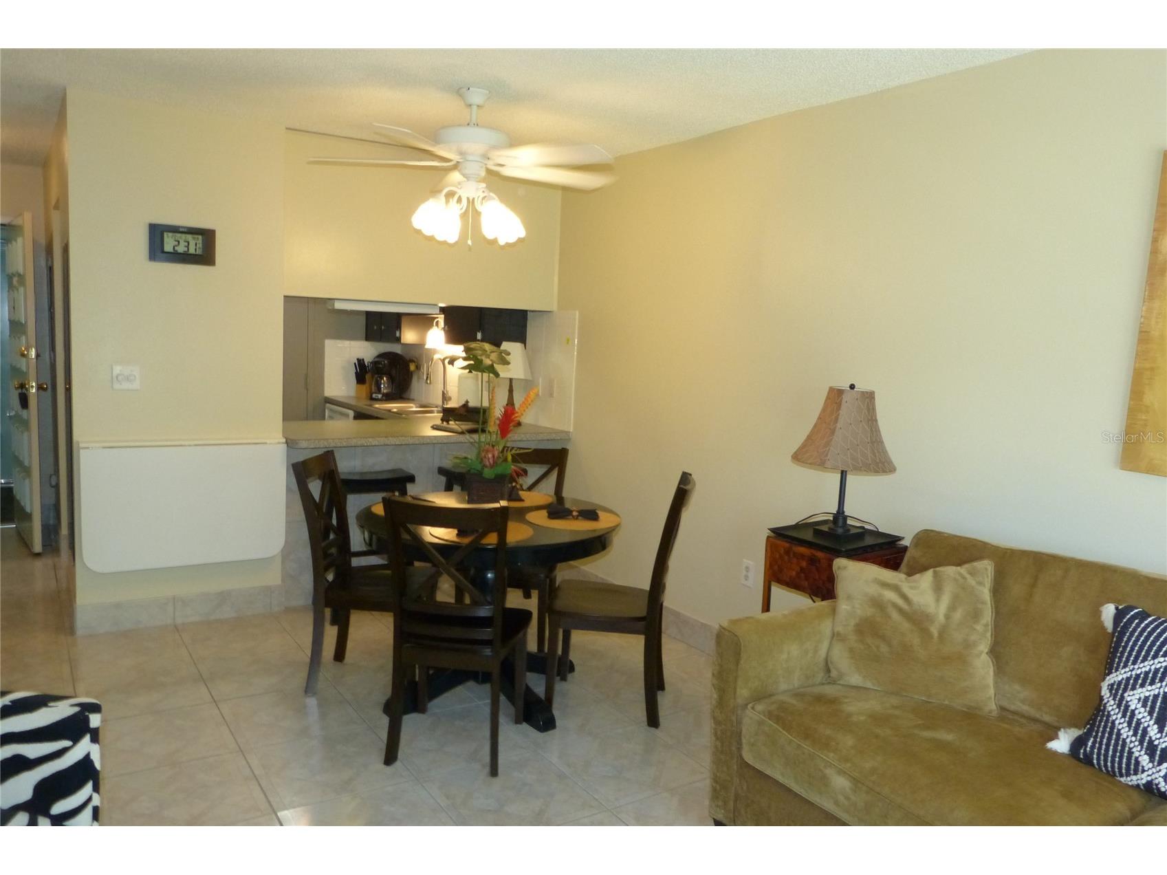 2700 Bayshore Boulevard #4312 Dunedin FL 34698 - ST JOSEPH SOUND/INTRACOASTAL/G TB8507564 image5