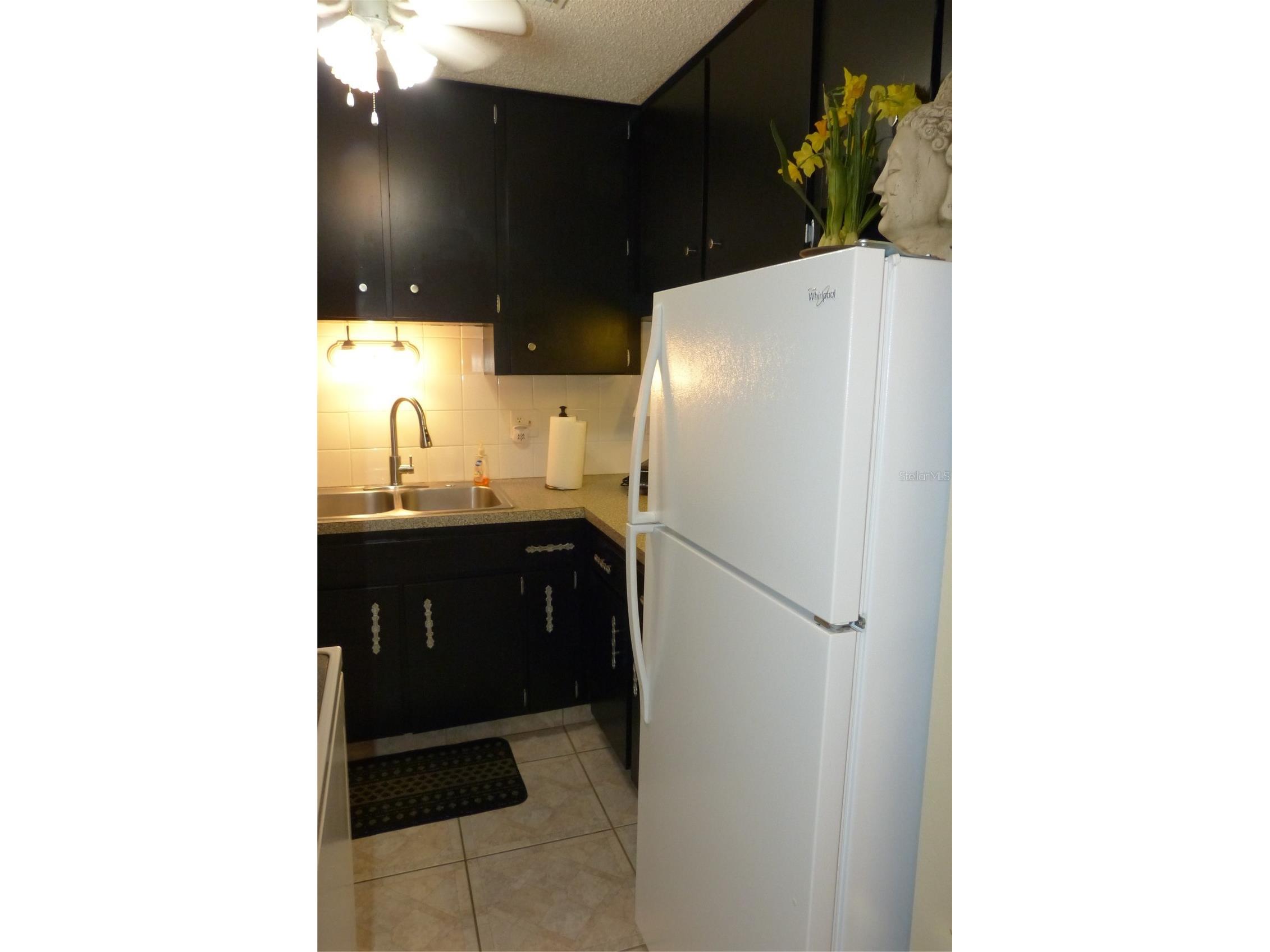 2700 Bayshore Boulevard #4312 Dunedin FL 34698 - ST JOSEPH SOUND/INTRACOASTAL/G TB8507564 image8