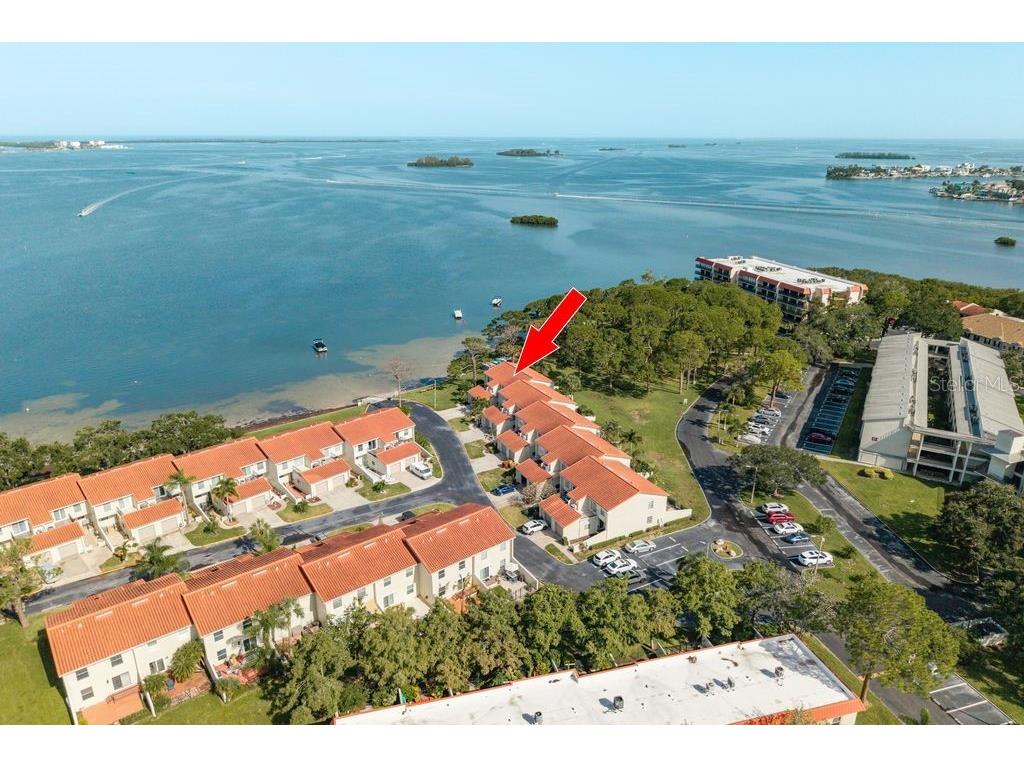 2700 Bayshore Boulevard #505 Dunedin FL 34698 - SAINT JOSEPH SOUND TB8413722 image2