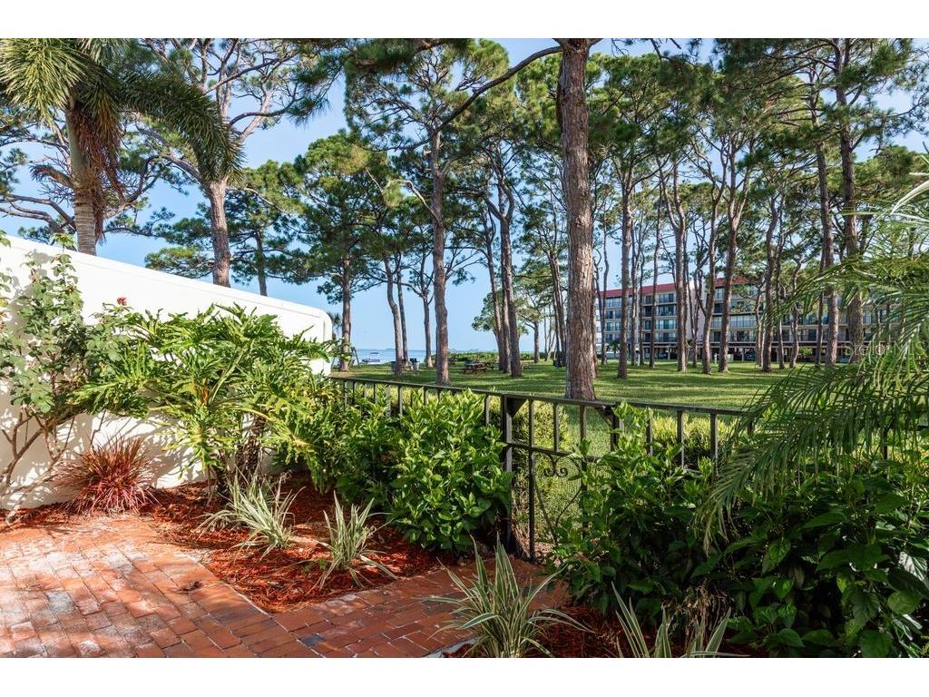 2700 Bayshore Boulevard #505 Dunedin FL 34698 - SAINT JOSEPH SOUND TB8413722 image37