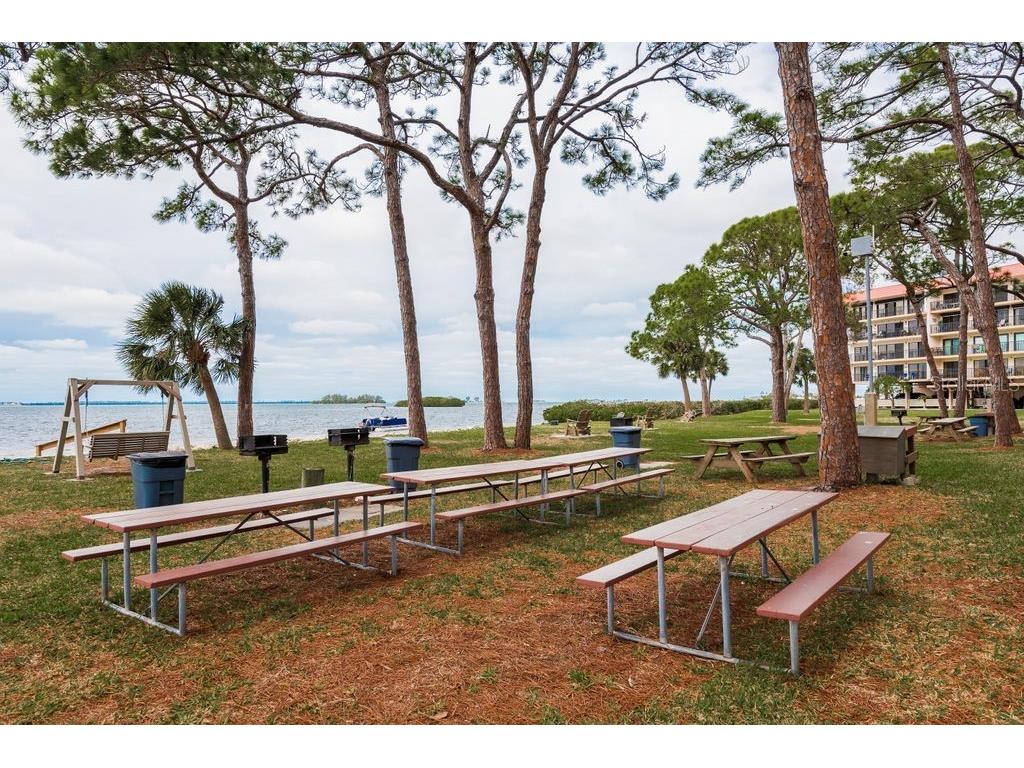 2700 Bayshore Boulevard #505 Dunedin FL 34698 - SAINT JOSEPH SOUND TB8413722 image70