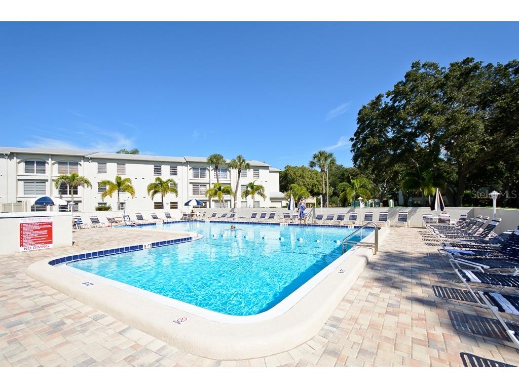2700 Bayshore Boulevard #508 Dunedin FL 34698 TB8430257 image16