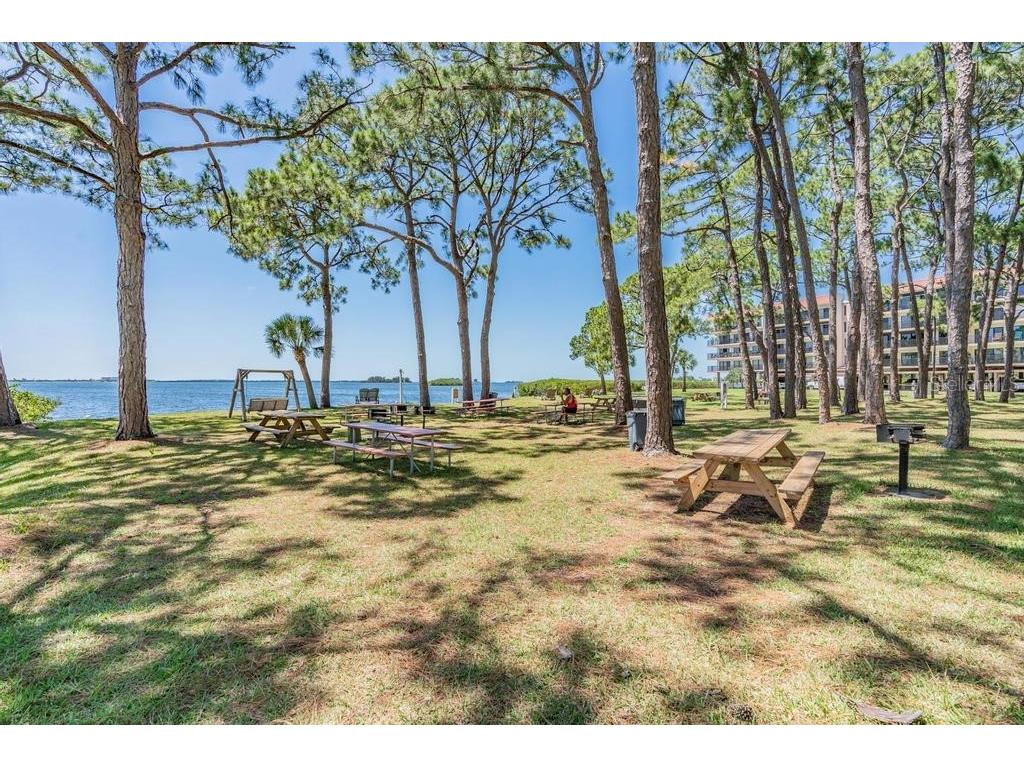 2700 Bayshore Boulevard #508 Dunedin FL 34698 TB8430257 image17