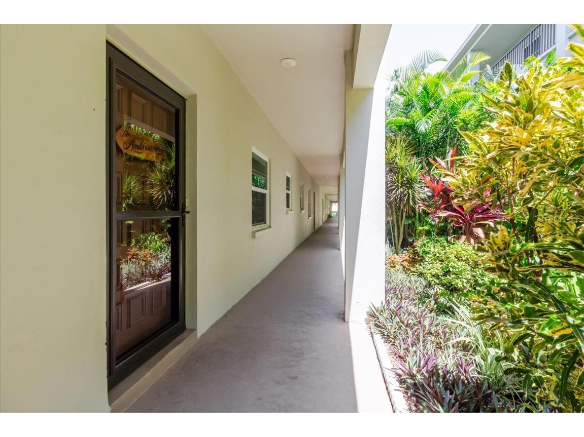 2700 Bayshore Boulevard #5102 Dunedin FL 34698 TB8413159 image1