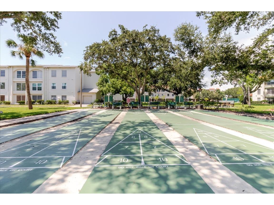 2700 Bayshore Boulevard #5102 Dunedin FL 34698 TB8413159 image39
