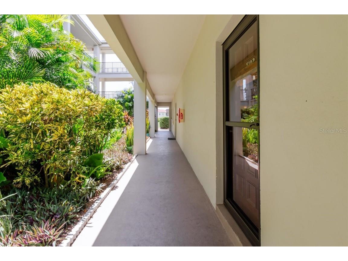 2700 Bayshore Boulevard #5102 Dunedin FL 34698 TB8413159 image40