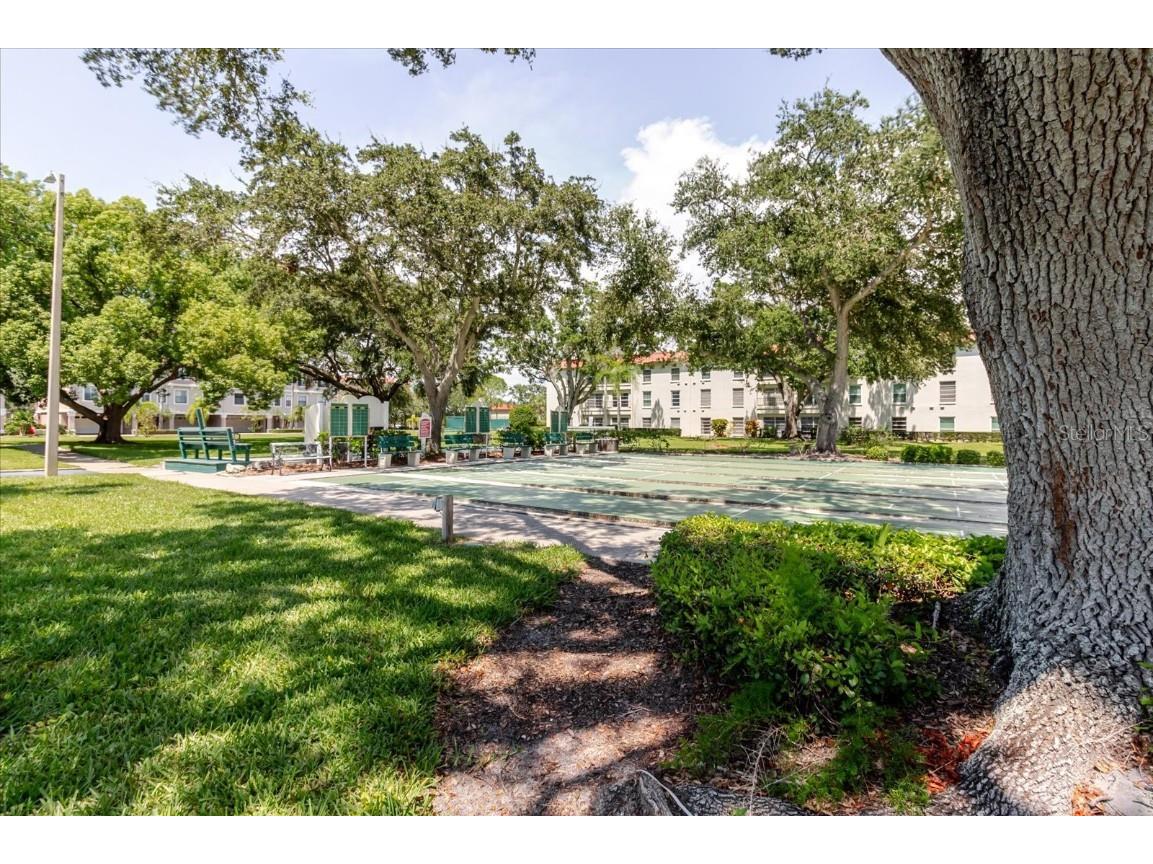 2700 Bayshore Boulevard #5102 Dunedin FL 34698 TB8413159 image43