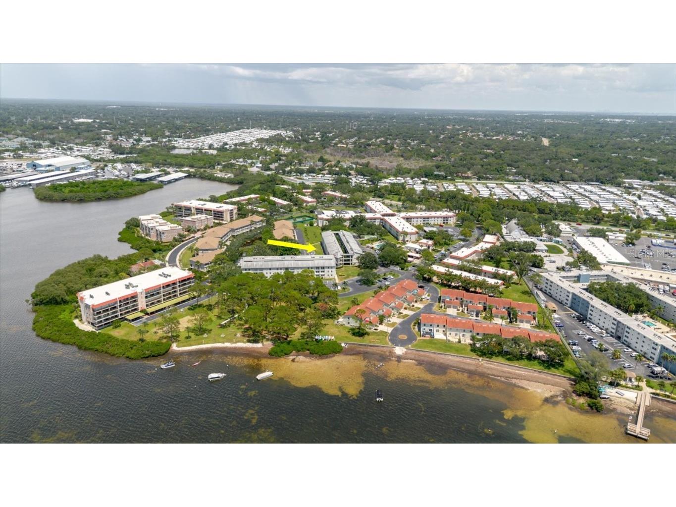 2700 Bayshore Boulevard #5102 Dunedin FL 34698 TB8413159 image60