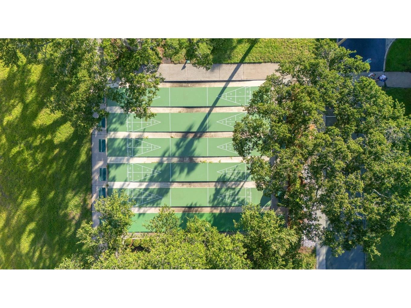 2700 Bayshore Boulevard #5108 Dunedin FL 34698 TB8404186 image39