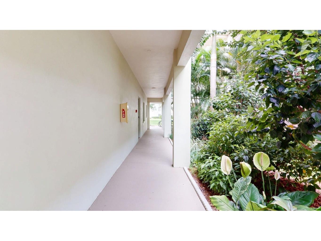 2700 Bayshore Boulevard #5108 Dunedin FL 34698 TB8404186 image53