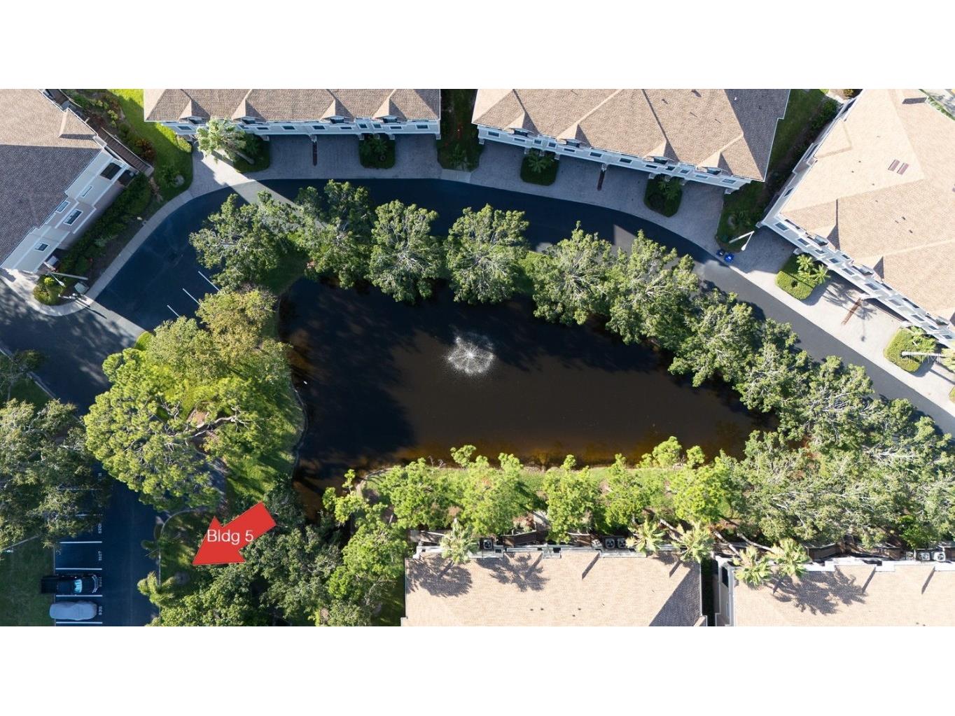 2700 Bayshore Boulevard #5108 Dunedin FL 34698 TB8404186 image54