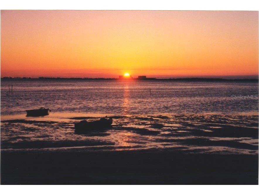 2700 Bayshore Boulevard #511 Dunedin FL 34698 - ST. JOSEPH'S SOUND TB8378896 image23