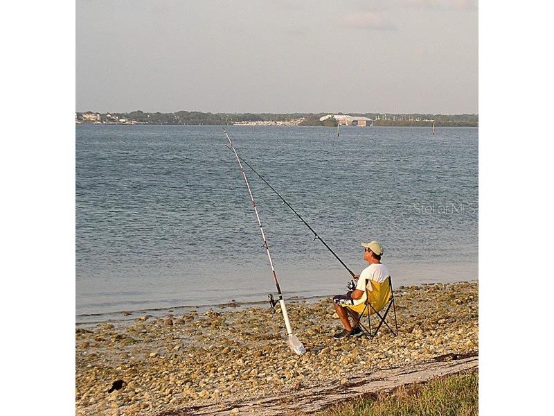 2700 Bayshore Boulevard #511 Dunedin FL 34698 - ST. JOSEPH'S SOUND TB8378896 image27