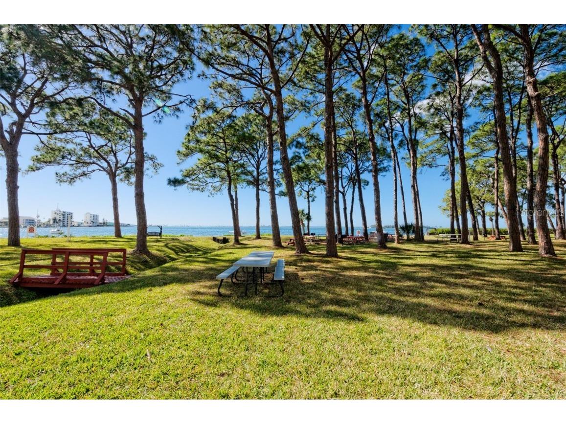 2700 Bayshore Boulevard #5210 Dunedin FL 34698 - ST JOSEPH SOUND/INTRACOASTAL/G TB8390271 image36