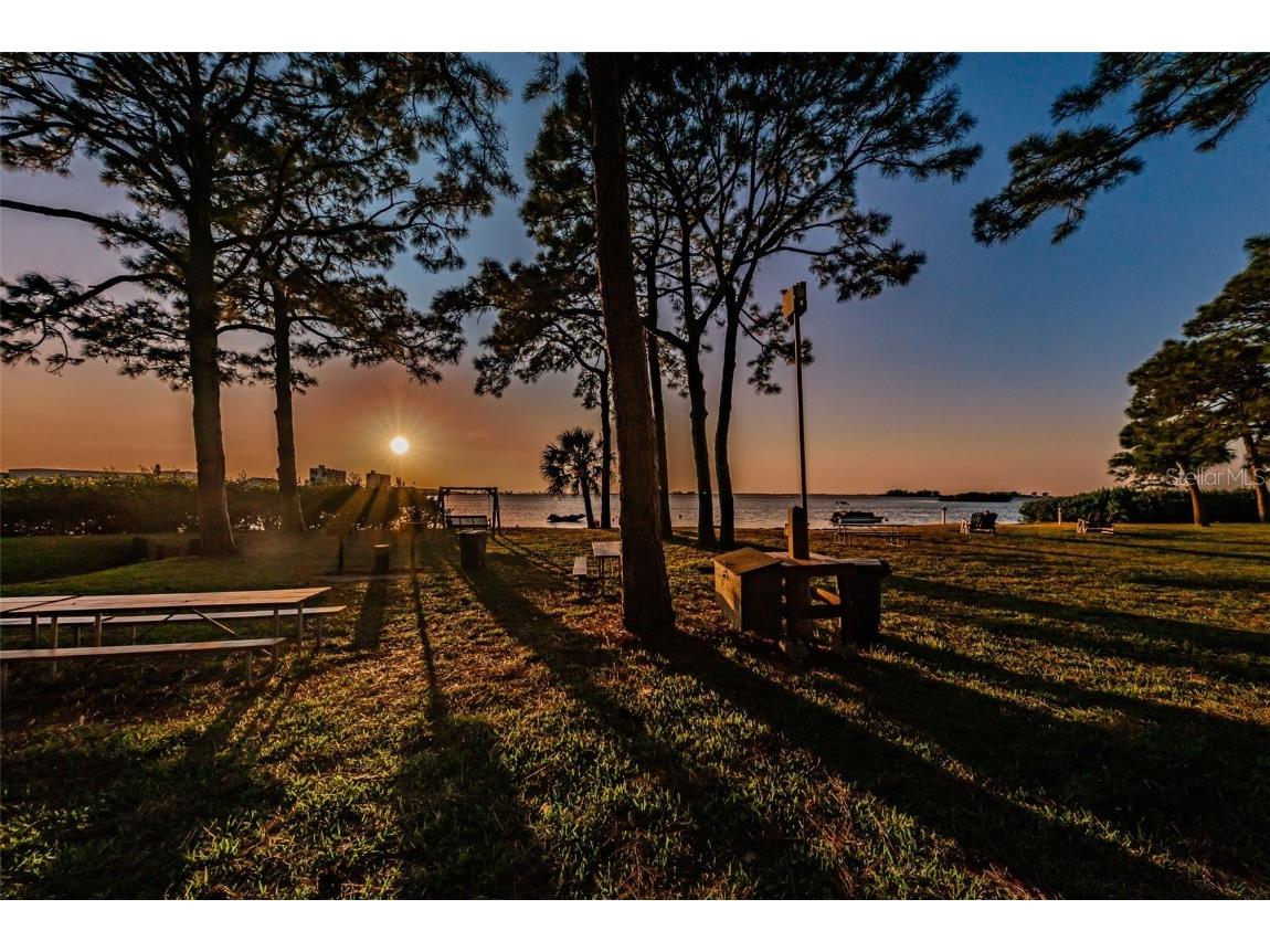 2700 Bayshore Boulevard #5210 Dunedin FL 34698 - ST JOSEPH SOUND/INTRACOASTAL/G TB8390271 image42