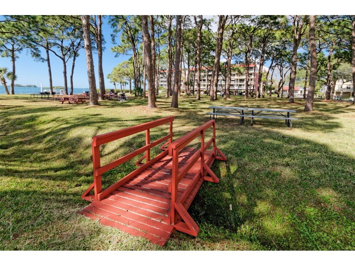 2700 Bayshore Boulevard #5210 Dunedin FL 34698 - ST JOSEPH SOUND/INTRACOASTAL/G TB8447890 image40