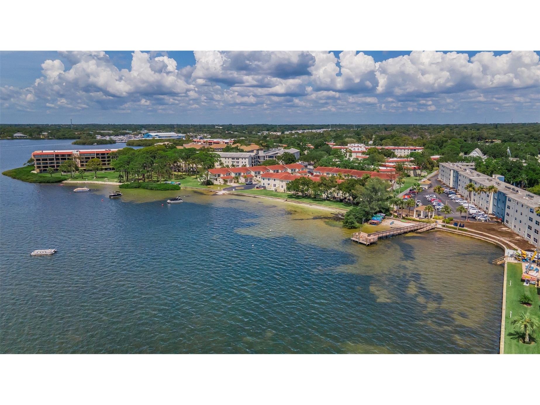 2700 Bayshore Boulevard #525 Dunedin FL 34698 - ST JOSEPH SOUND/INTRACOASTAL/G TB8507636 image3