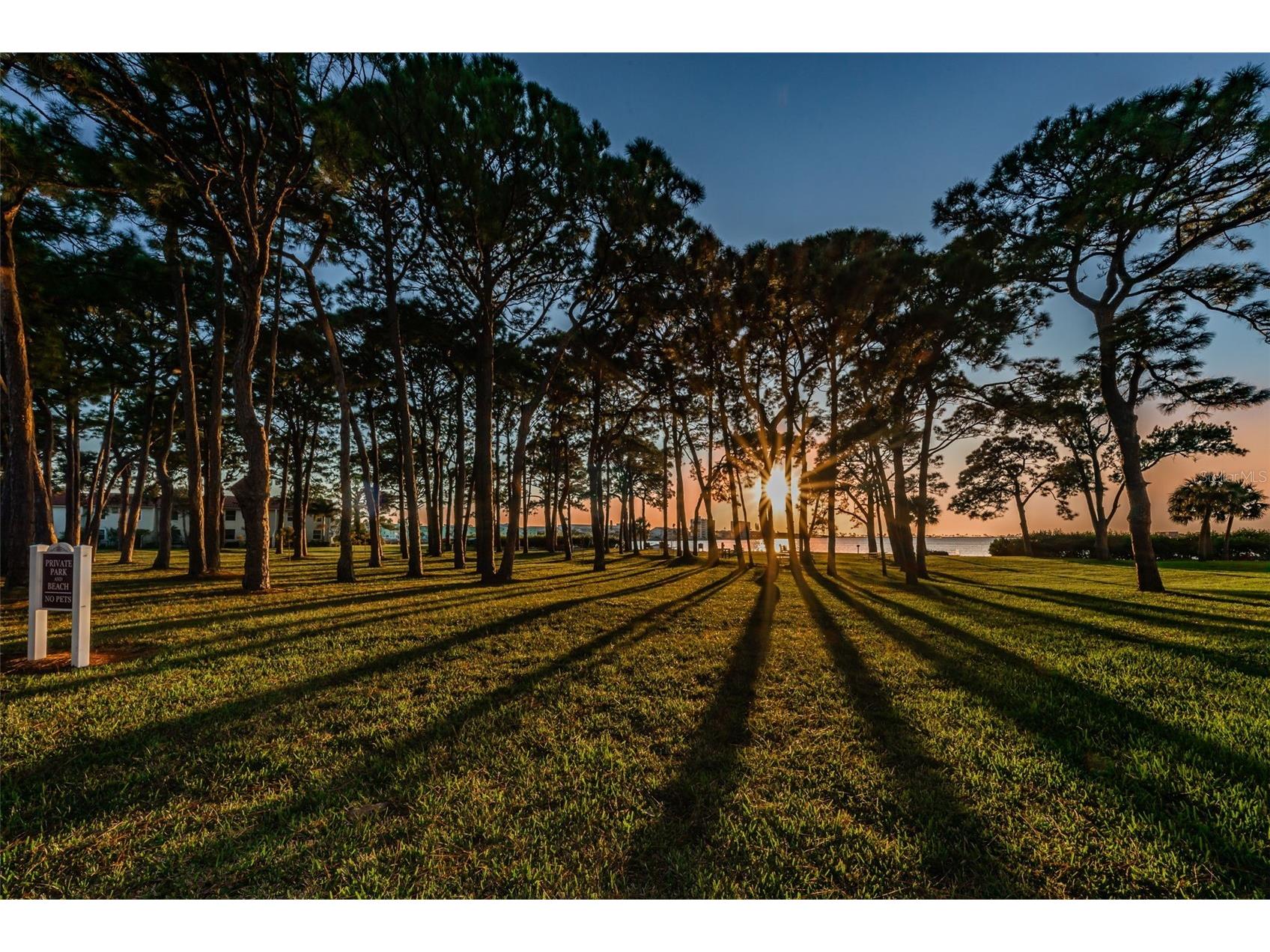 2700 Bayshore Boulevard #525 Dunedin FL 34698 - ST JOSEPH SOUND/INTRACOASTAL/G TB8507636 image65