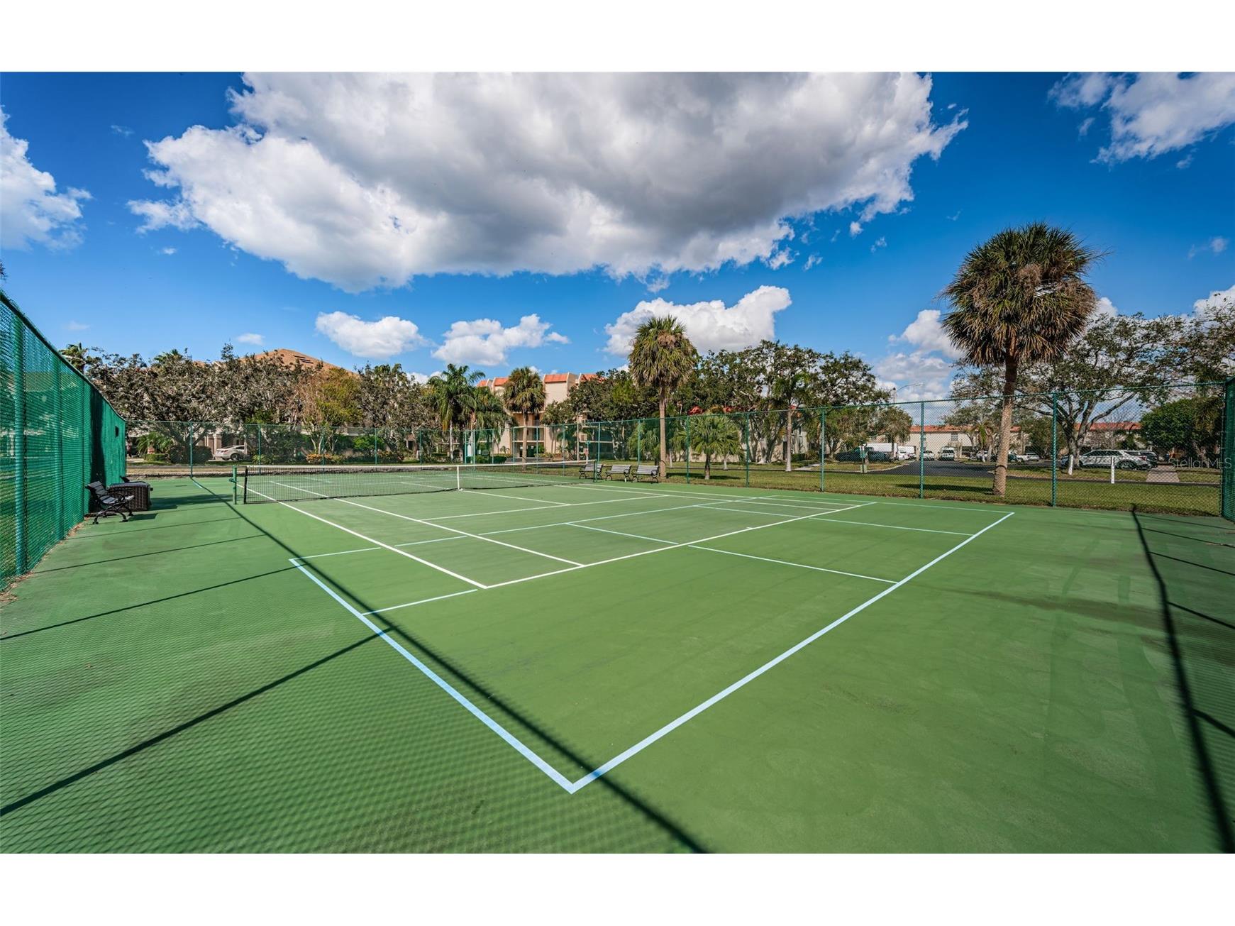 2700 Bayshore Boulevard #525 Dunedin FL 34698 - ST JOSEPH SOUND/INTRACOASTAL/G TB8507636 image68