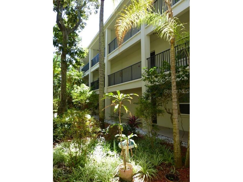 2700 Bayshore Boulevard #5301 Dunedin FL 34698 TB8437840 image2
