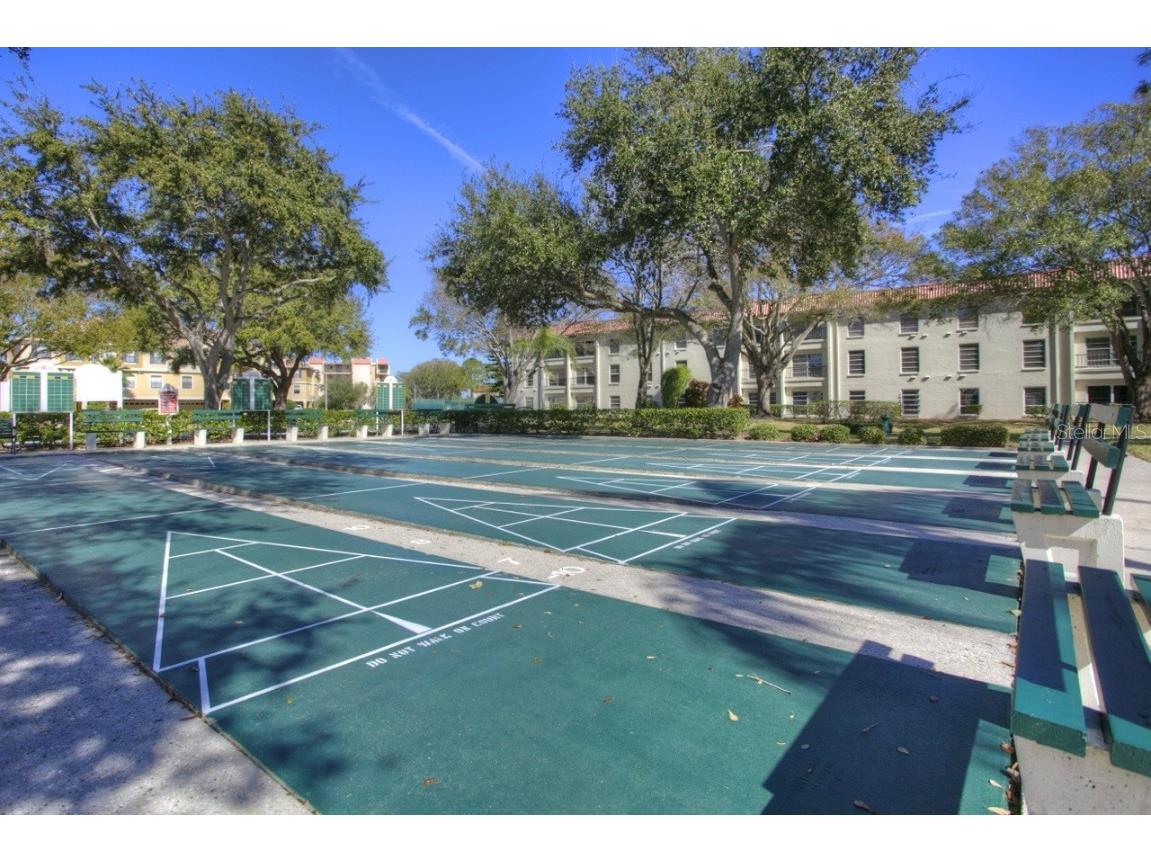 2700 Bayshore Boulevard #5301 Dunedin FL 34698 TB8437840 image28