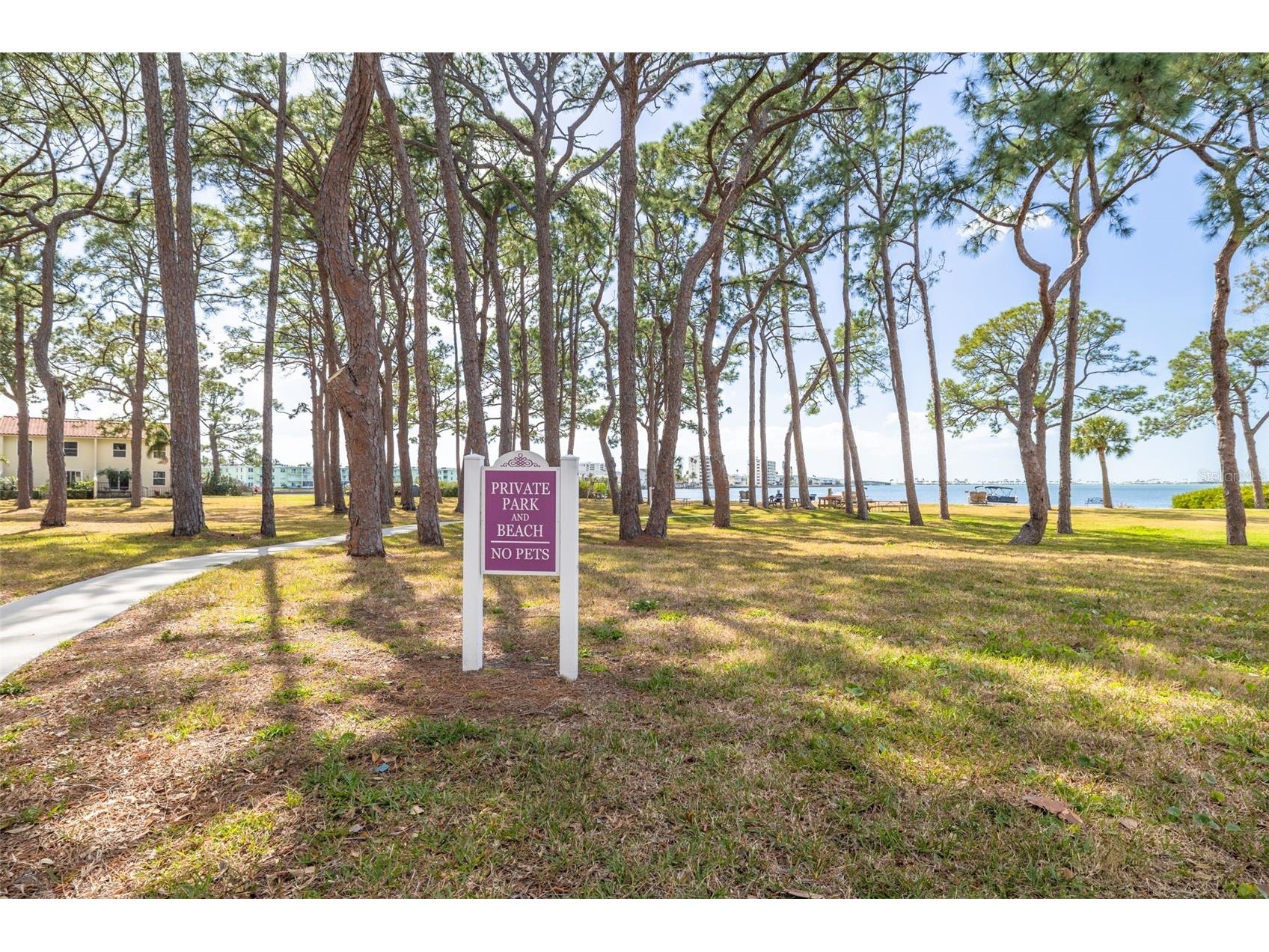 2700 Bayshore Boulevard #5302 Dunedin FL 34698 - ST JOSEPH SOUND/GULF OF MEXICO TB8477619 image29