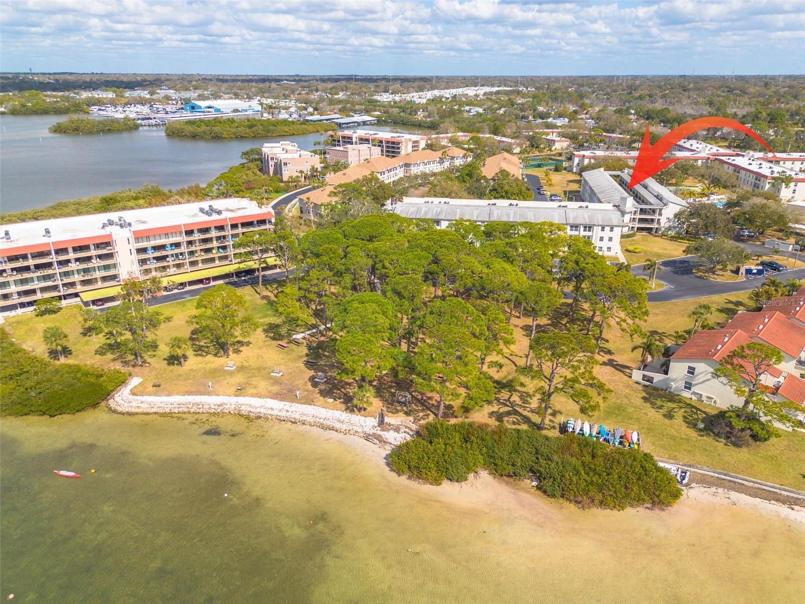 2700 Bayshore Boulevard #5302 Dunedin FL 34698 - ST JOSEPH SOUND/GULF OF MEXICO TB8477619 image3