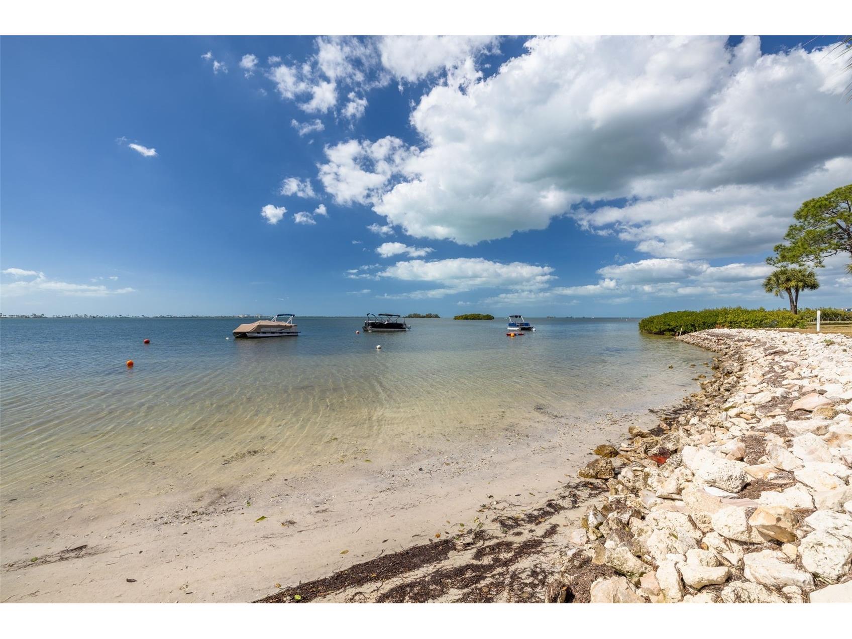 2700 Bayshore Boulevard #5302 Dunedin FL 34698 - ST JOSEPH SOUND/GULF OF MEXICO TB8477619 image32