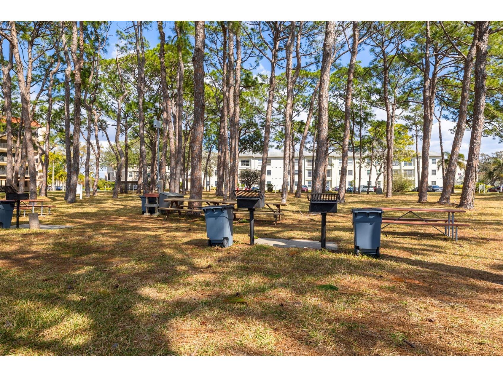 2700 Bayshore Boulevard #5302 Dunedin FL 34698 - ST JOSEPH SOUND/GULF OF MEXICO TB8477619 image34