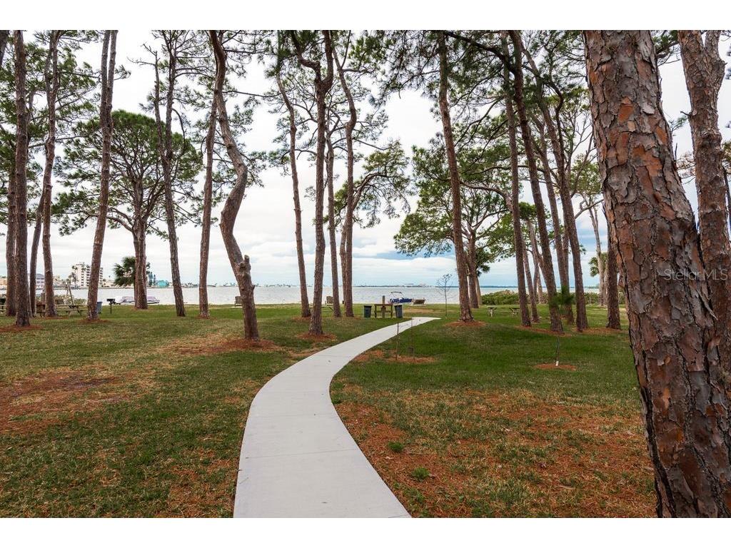 2700 Bayshore Boulevard #531 Dunedin FL 34698 - SAINT JOSEPH SOUND TB8413726 image43