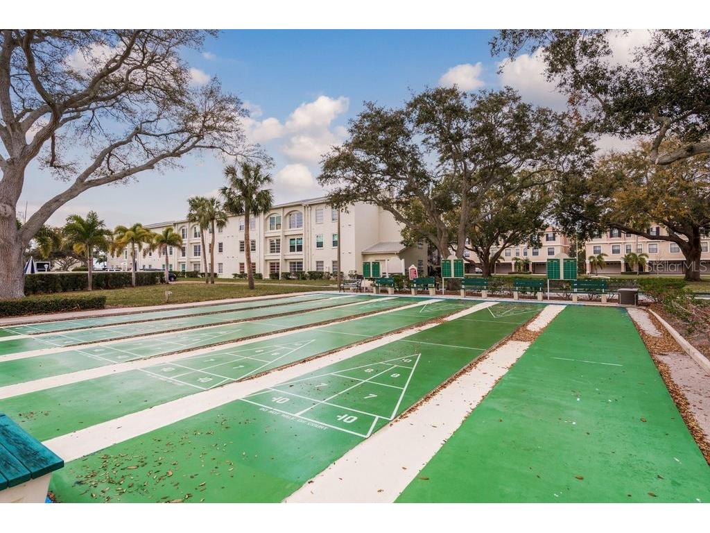 2700 Bayshore Boulevard #531 Dunedin FL 34698 - SAINT JOSEPH SOUND TB8413726 image60