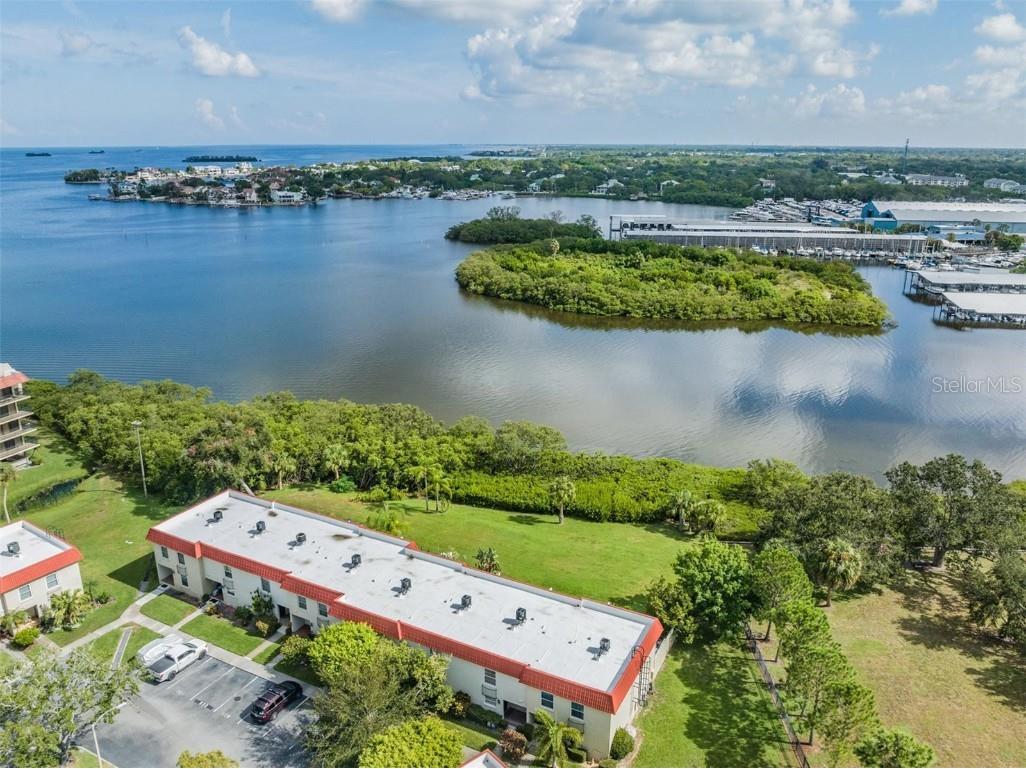 2700 Bayshore Boulevard #532 Dunedin FL 34698 - SMITHS BAYOU U8216775 image1