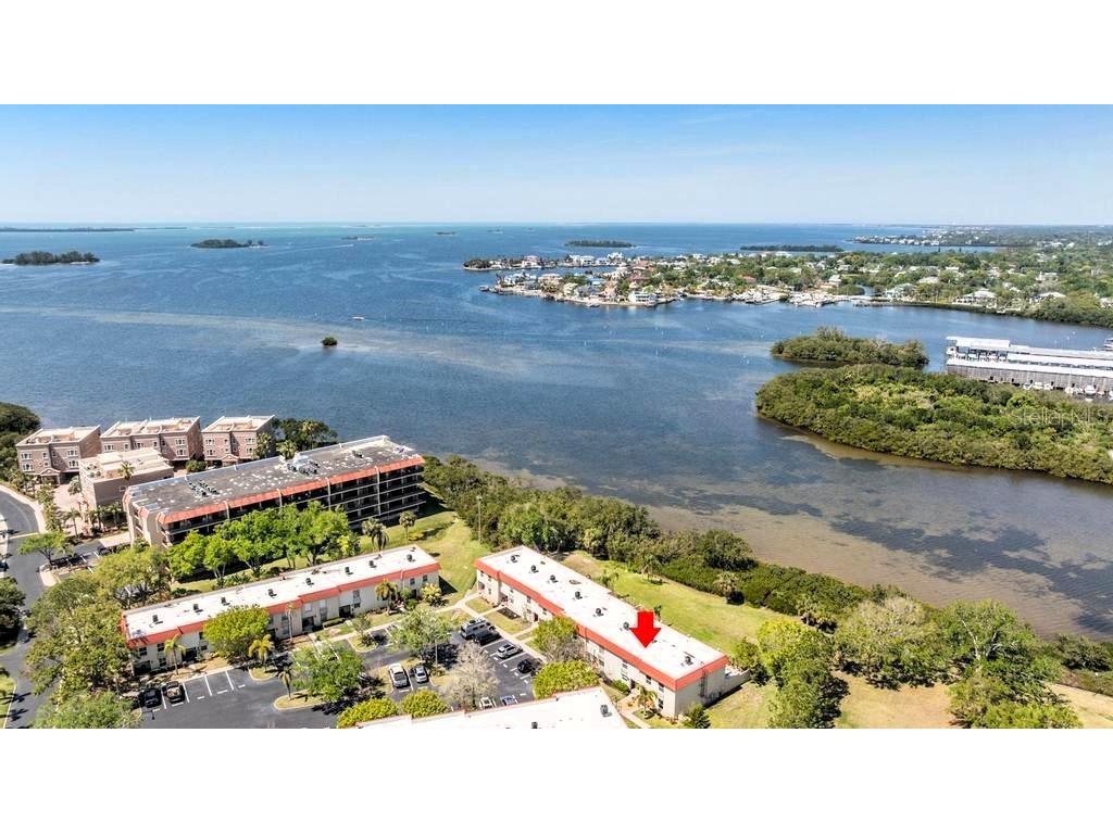 2700 Bayshore Boulevard #532 Dunedin FL 34698 - ST JOSEPH'S SOUND TB8368183 image1