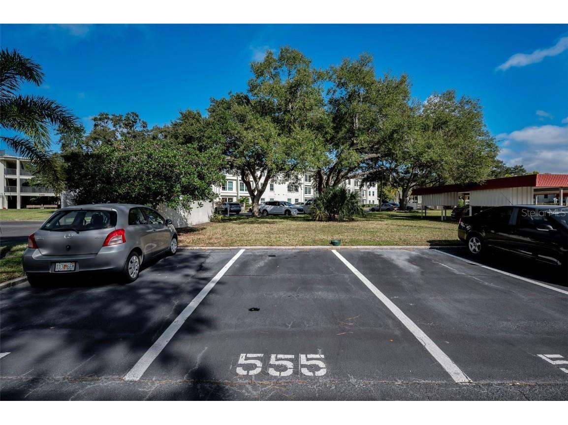 2700 Bayshore Boulevard #555 Dunedin FL 34698 TB8456202 image30